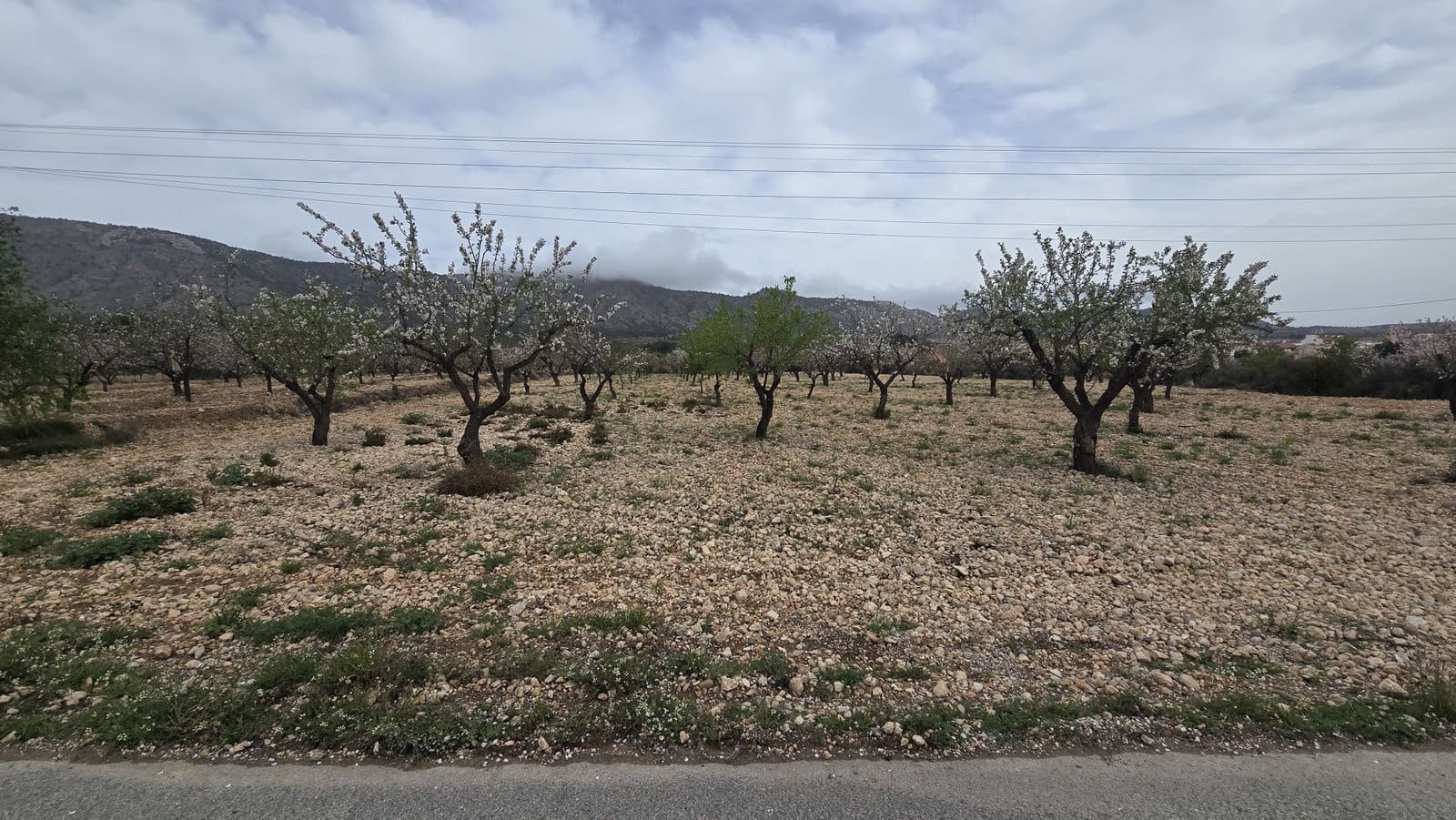Grunde uden byggetilladelser til salg i Salinas - € 86.000 (Ref: 8885417)