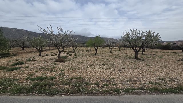 Terre non Aménagée à vendre à Salinas - 86 000 € (Ref: 8885417)