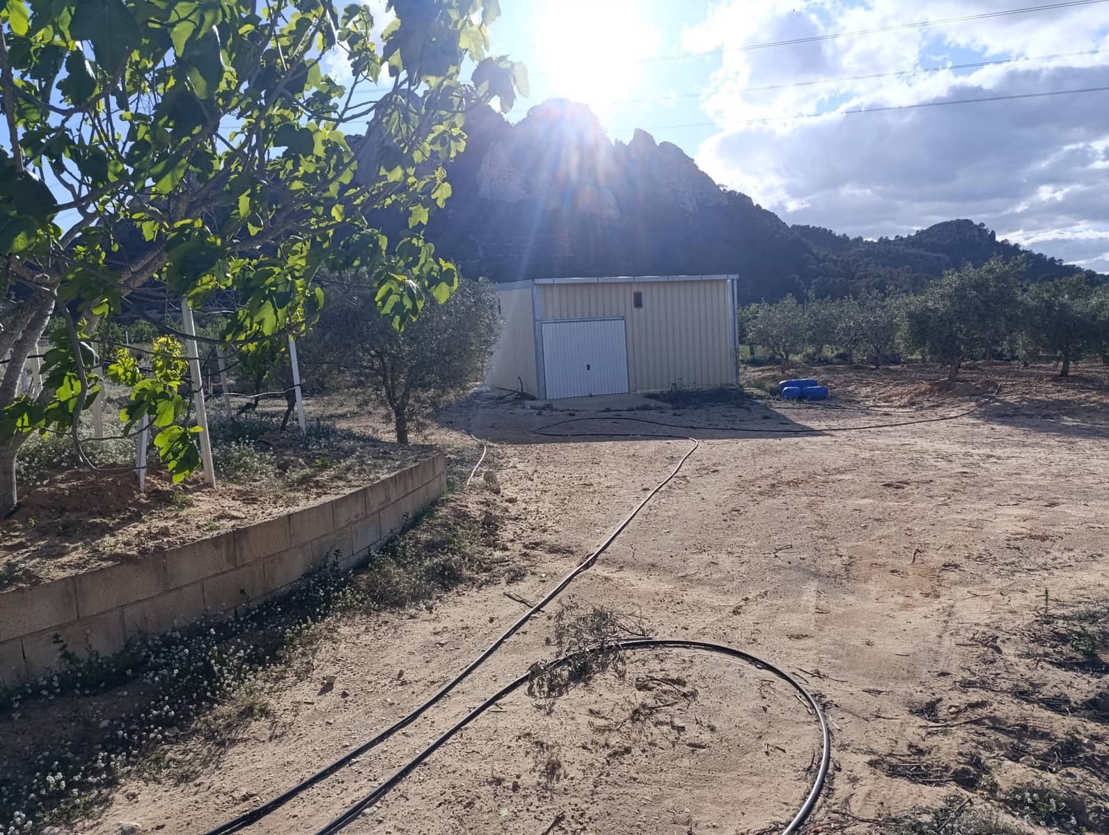 1 slaapkamer Finca/Landhuis te koop in Sax - € 63.000 (Ref: 8960368)