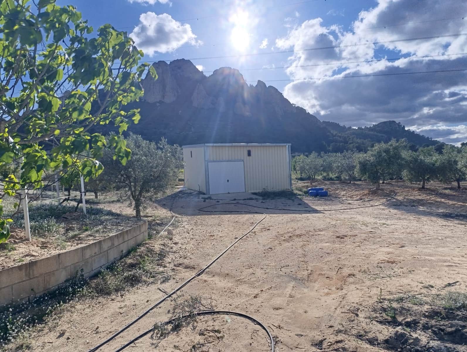 1 slaapkamer Finca/Landhuis te koop in Sax - € 63.000 (Ref: 8960368)