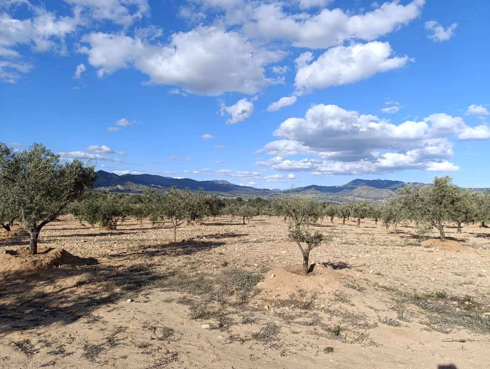 1 slaapkamer Finca/Landhuis te koop in Sax - € 63.000 (Ref: 8960368)