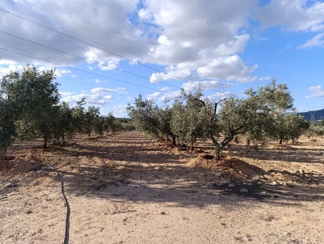 1 bedroom Finca/Country House for sale in Sax - € 63,000 (Ref: 8960368)