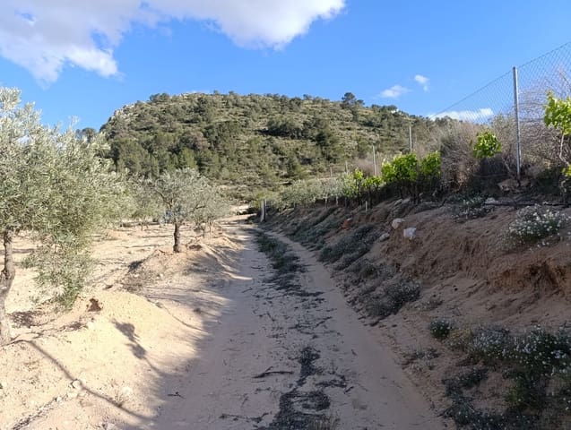 1 bedroom Finca/Country House for sale in Sax - € 63,000 (Ref: 8960368)