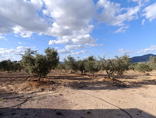 Finca/Casa Rural de 1 habitación en Sax en venta - 63.000 € (Ref: 8960368)
