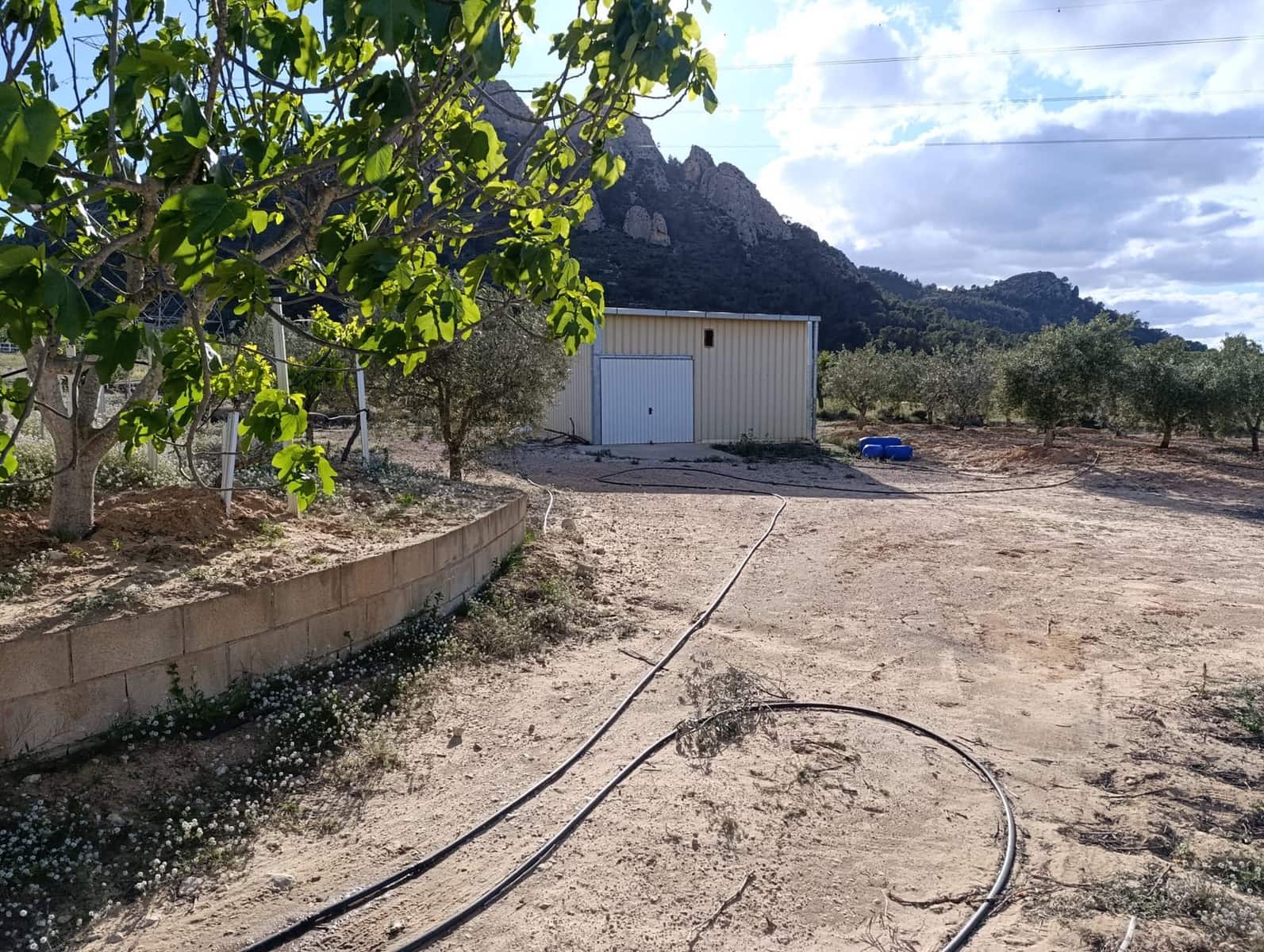 1 soverom Finca/Herregård til salgs i Sax - € 63 000 (Ref: 8960368)
