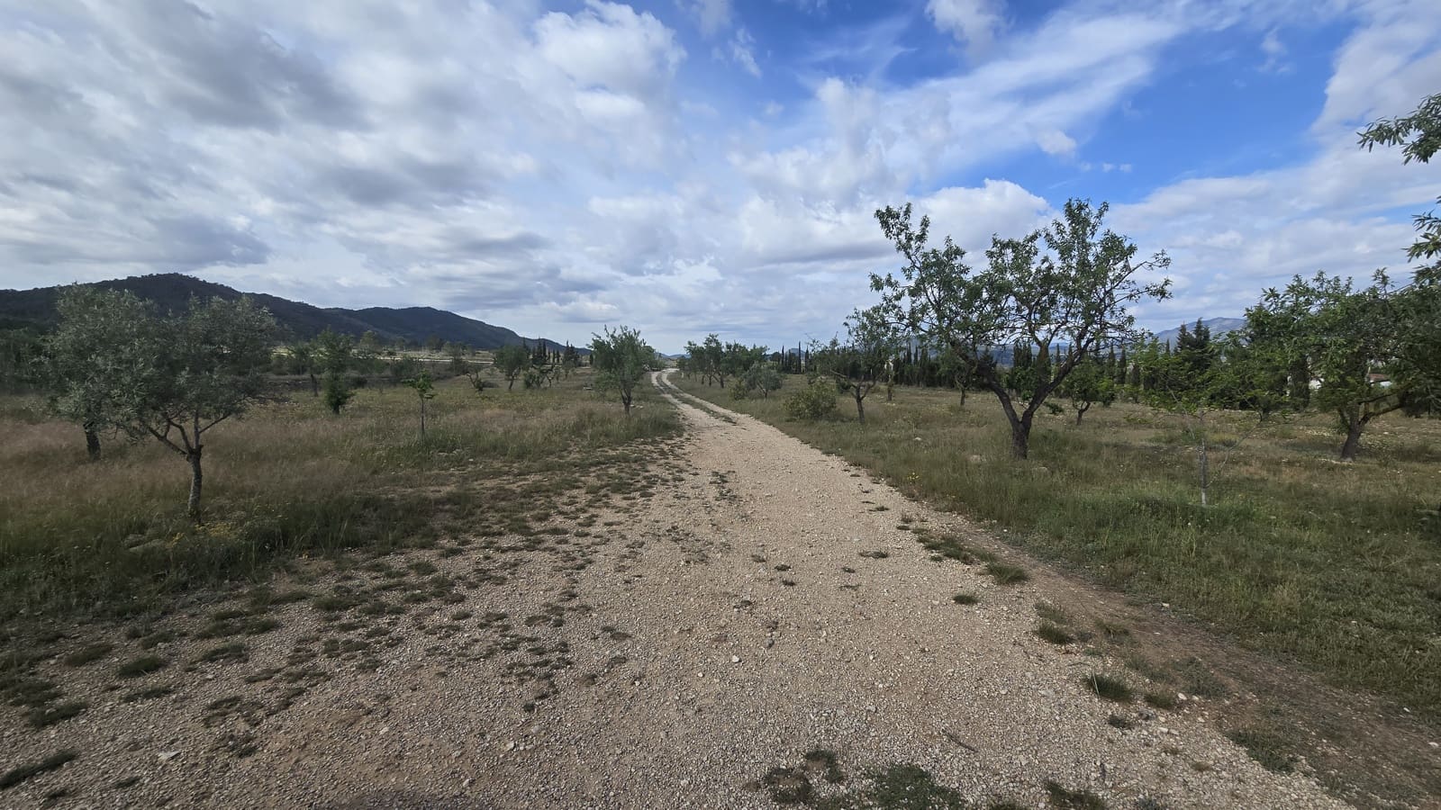 5 soveværelse Finca/Landehus til salg i Salinas med garage - € 189.000 (Ref: 9000177)