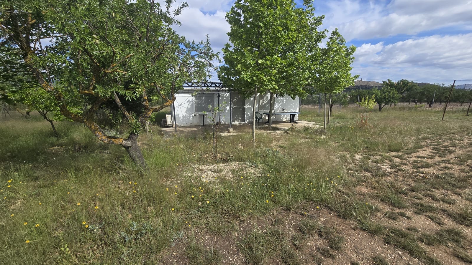 5 soveværelse Finca/Landehus til salg i Salinas med garage - € 189.000 (Ref: 9000177)