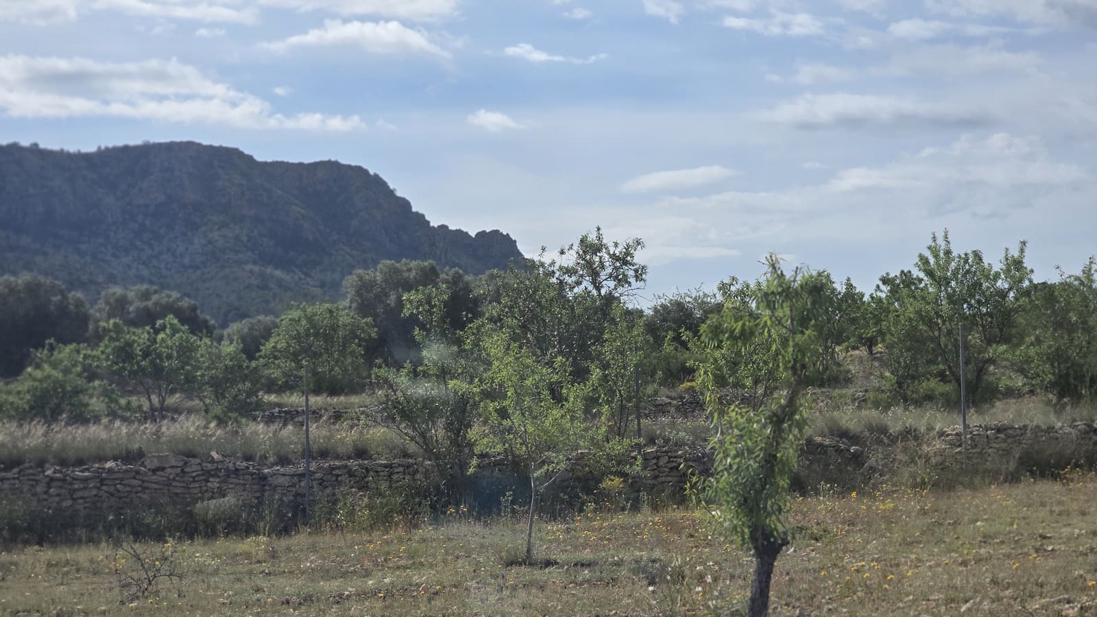 5 soveværelse Finca/Landehus til salg i Salinas med garage - € 189.000 (Ref: 9000177)