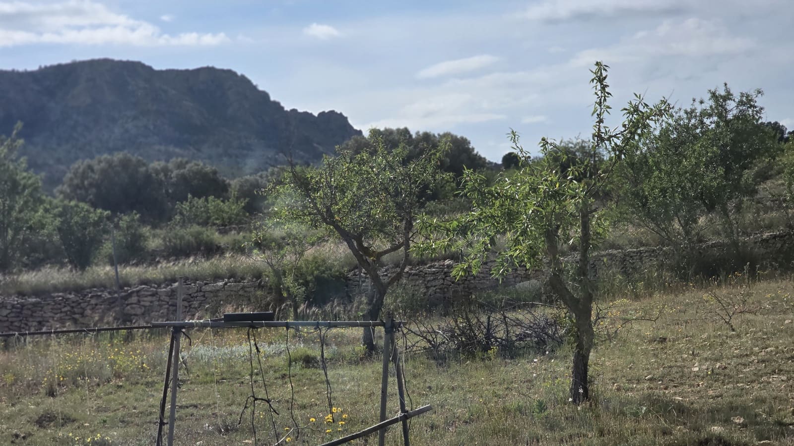 5 soveværelse Finca/Landehus til salg i Salinas med garage - € 189.000 (Ref: 9000177)