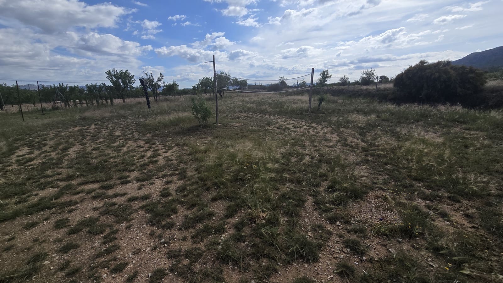 5 soveværelse Finca/Landehus til salg i Salinas med garage - € 189.000 (Ref: 9000177)