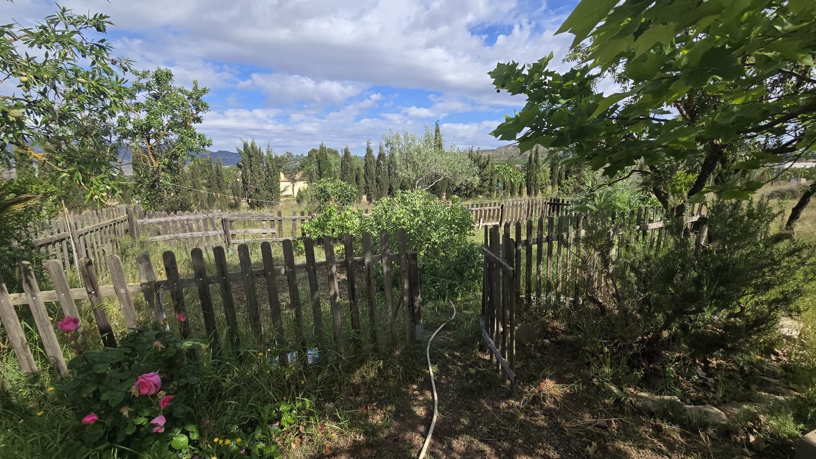 5 soveværelse Finca/Landehus til salg i Salinas med garage - € 189.000 (Ref: 9000177)