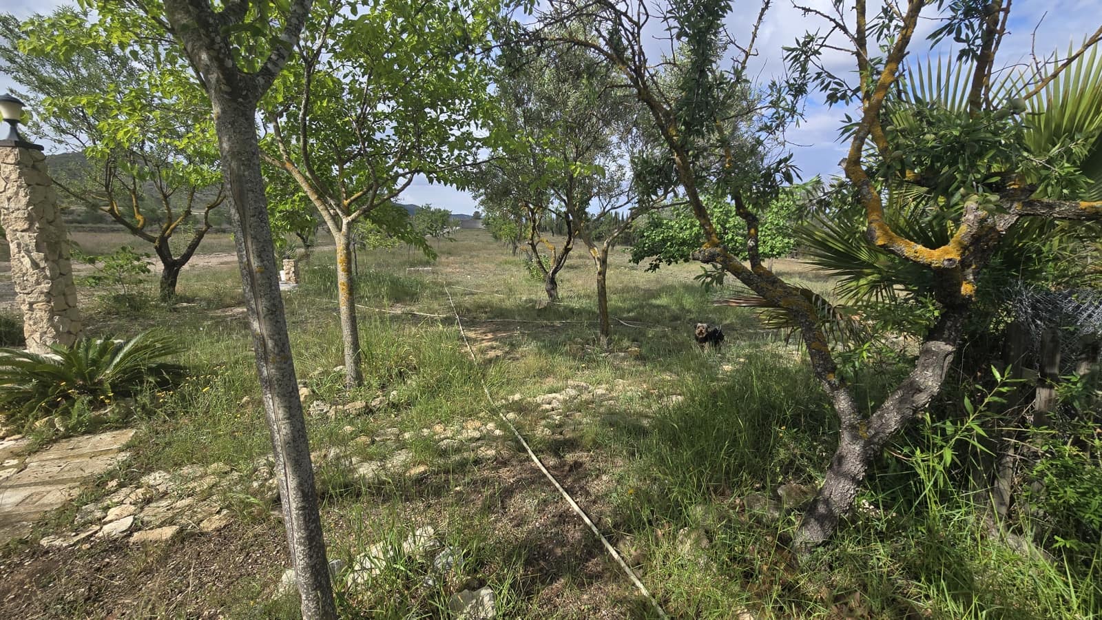 5 soveværelse Finca/Landehus til salg i Salinas med garage - € 189.000 (Ref: 9000177)