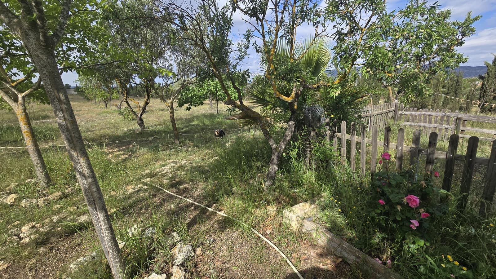 5 soveværelse Finca/Landehus til salg i Salinas med garage - € 189.000 (Ref: 9000177)