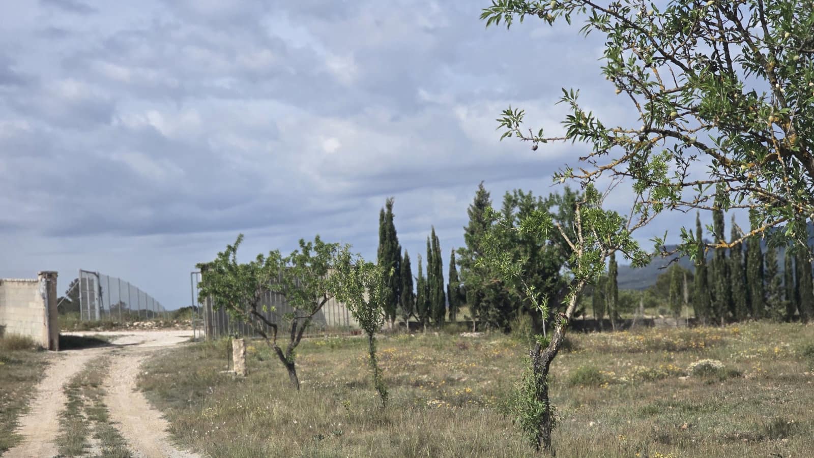 5 soverom Finca/Herregård til salgs i Salinas med garasje - € 189 000 (Ref: 9000177)