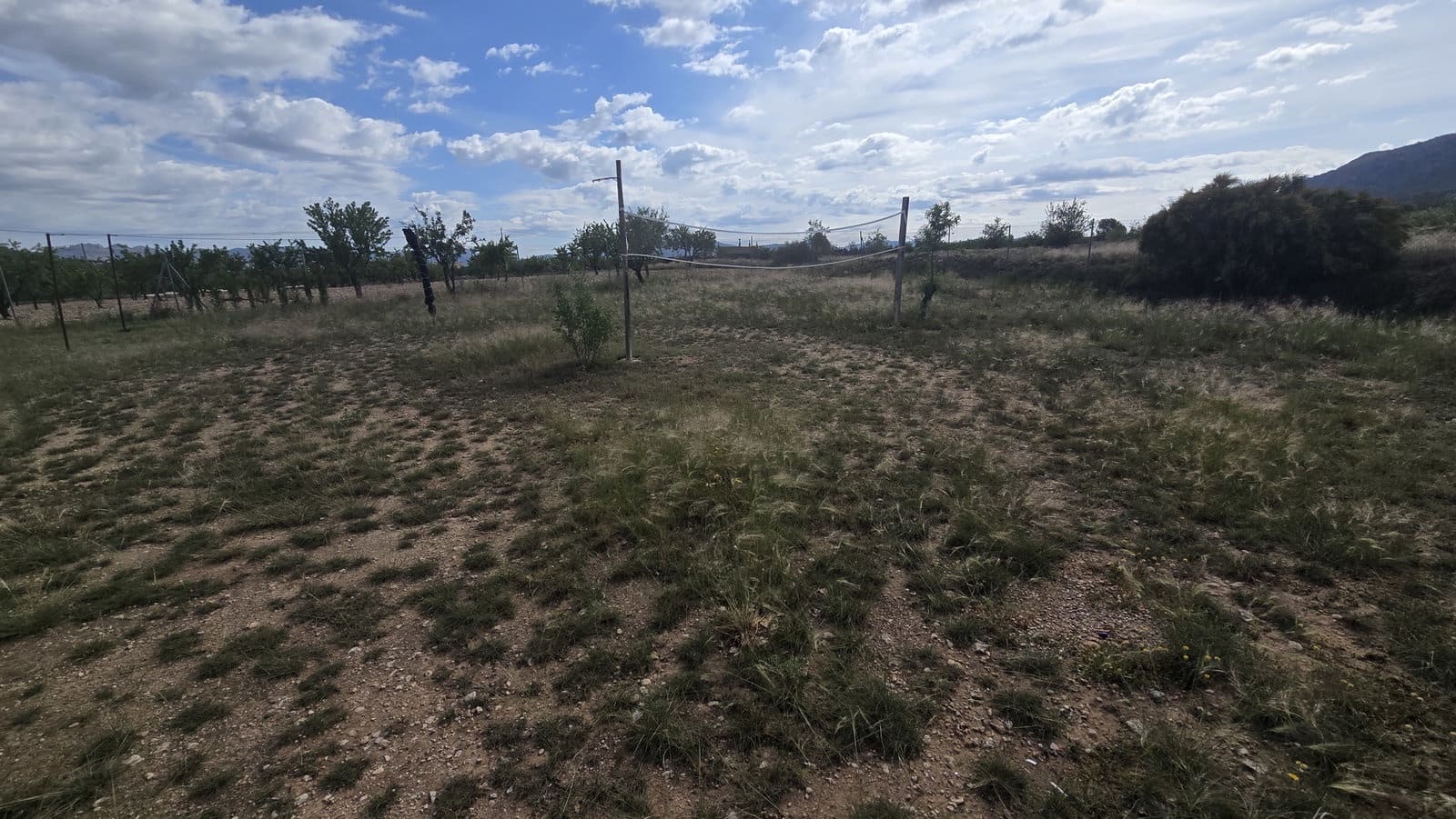 5 soverom Finca/Herregård til salgs i Salinas med garasje - € 189 000 (Ref: 9000177)