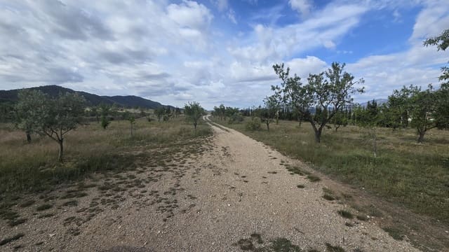 5 sypialnia Finka/Dom wiejski na sprzedaż w Salinas z garażem - 189 000 € (Ref: 9000177)