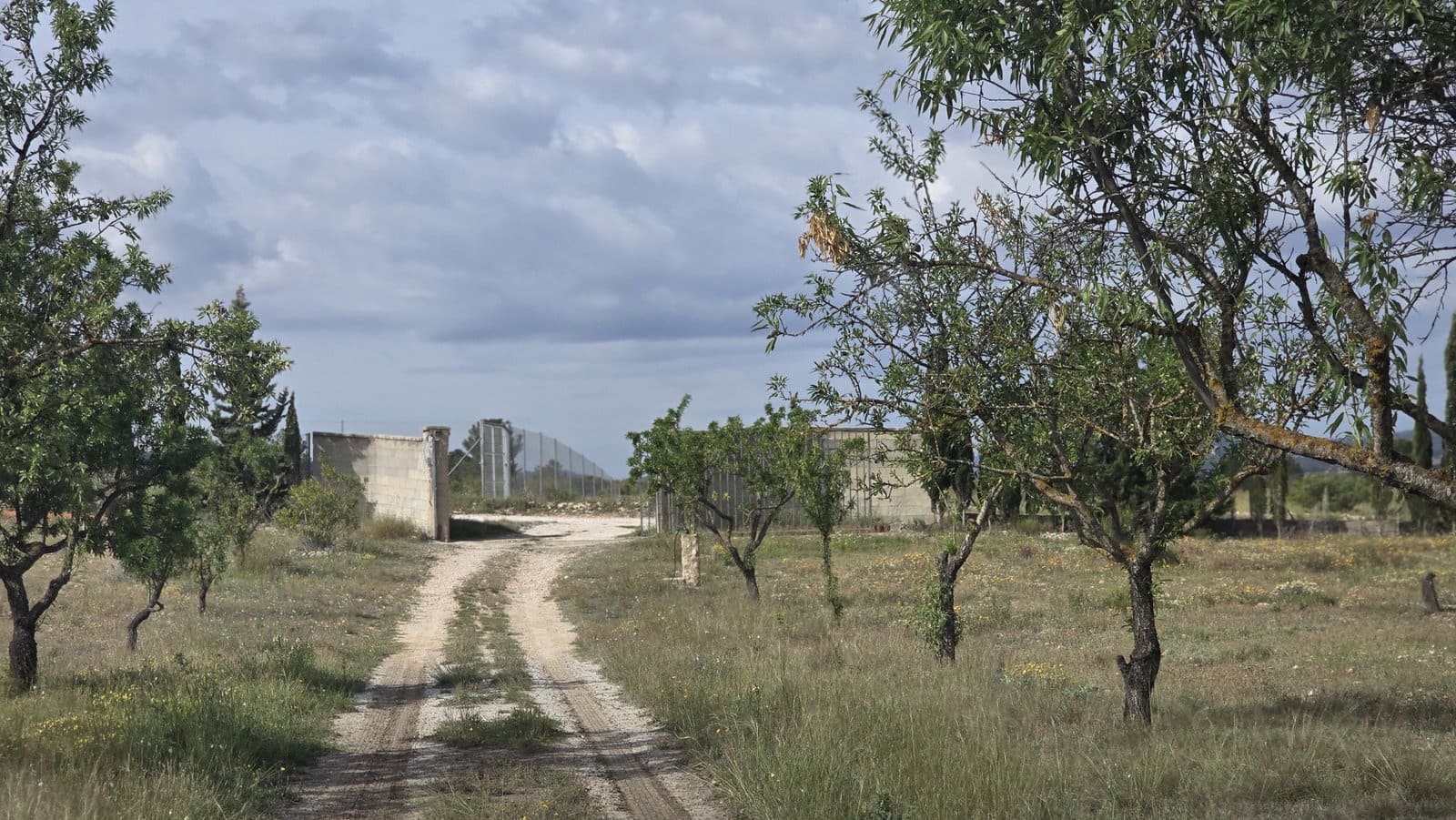 5 soverom Finca/Herregård til salgs i Salinas med garasje - € 189 000 (Ref: 9000177)
