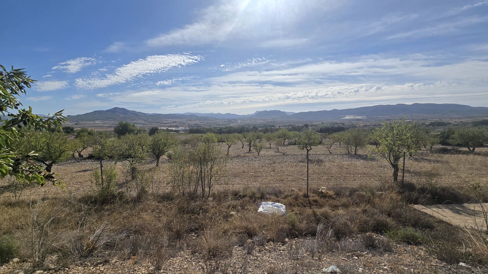 4 soveværelse Finca/Landehus til salg i Salinas med swimmingpool - € 339.000 (Ref: 9199916)