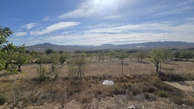 4 slaapkamer Finca/Landhuis te koop in Salinas met zwembad - € 339.000 (Ref: 9199916)