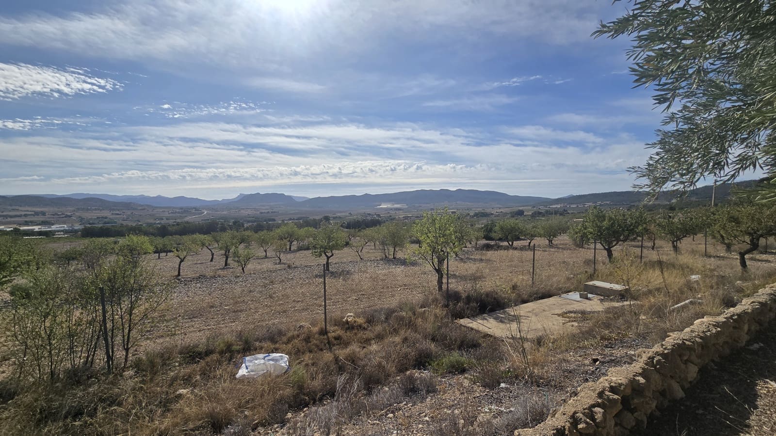 4 soveværelse Finca/Landehus til salg i Salinas med swimmingpool - € 339.000 (Ref: 9199916)