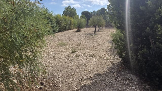 5 bedroom Finca/Country House for sale in Sax with pool garage - € 374,950 (Ref: 9289624)