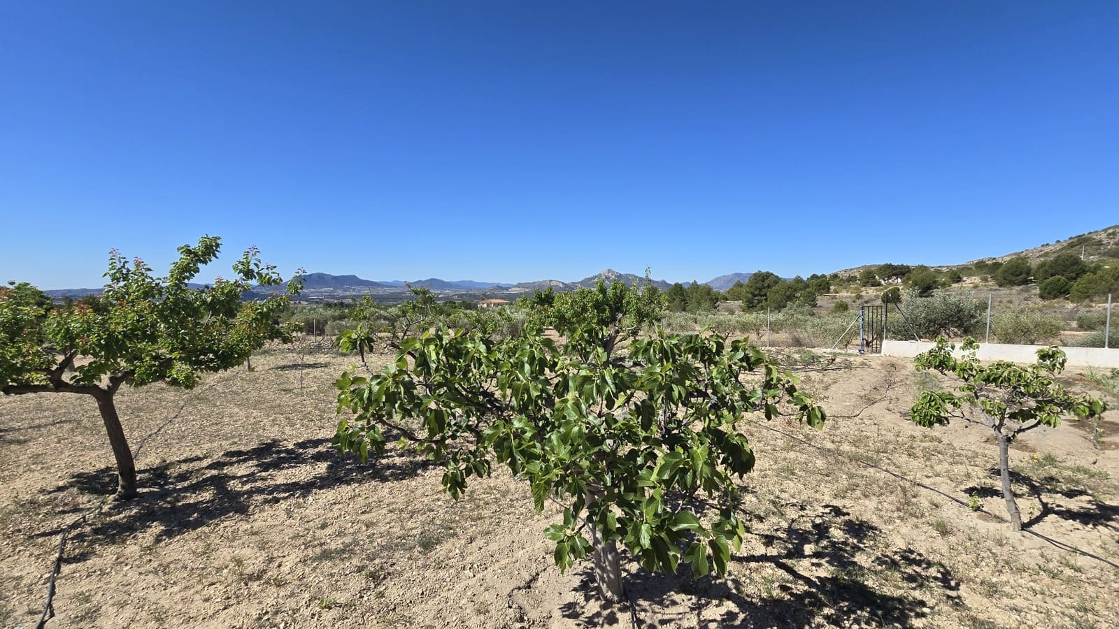 2 soverom Finca/Herregård til salgs i Sax med svømmebasseng garasje - € 99 950 (Ref: 9386529)