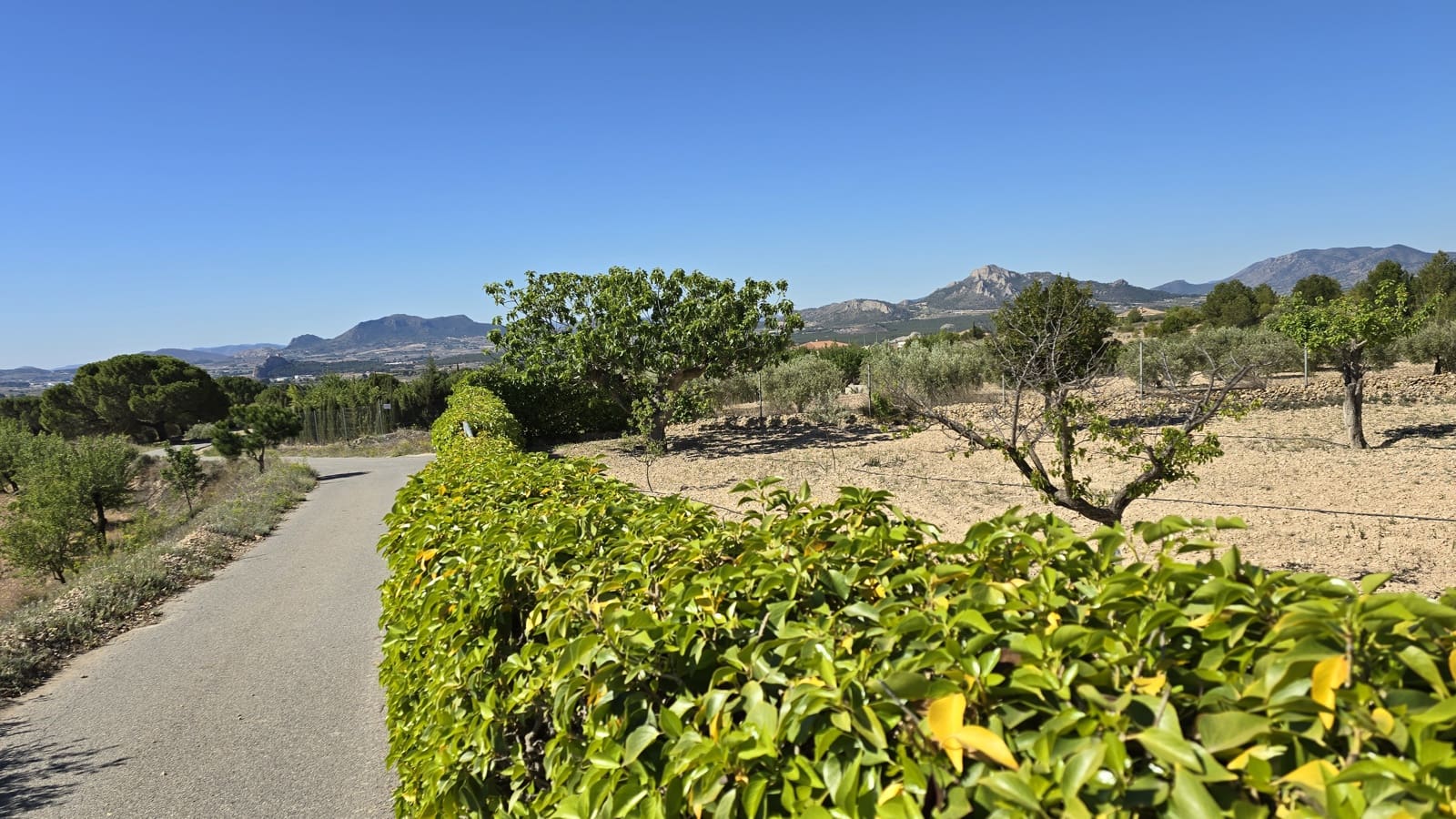 2 soverom Finca/Herregård til salgs i Sax med svømmebasseng garasje - € 99 950 (Ref: 9386529)