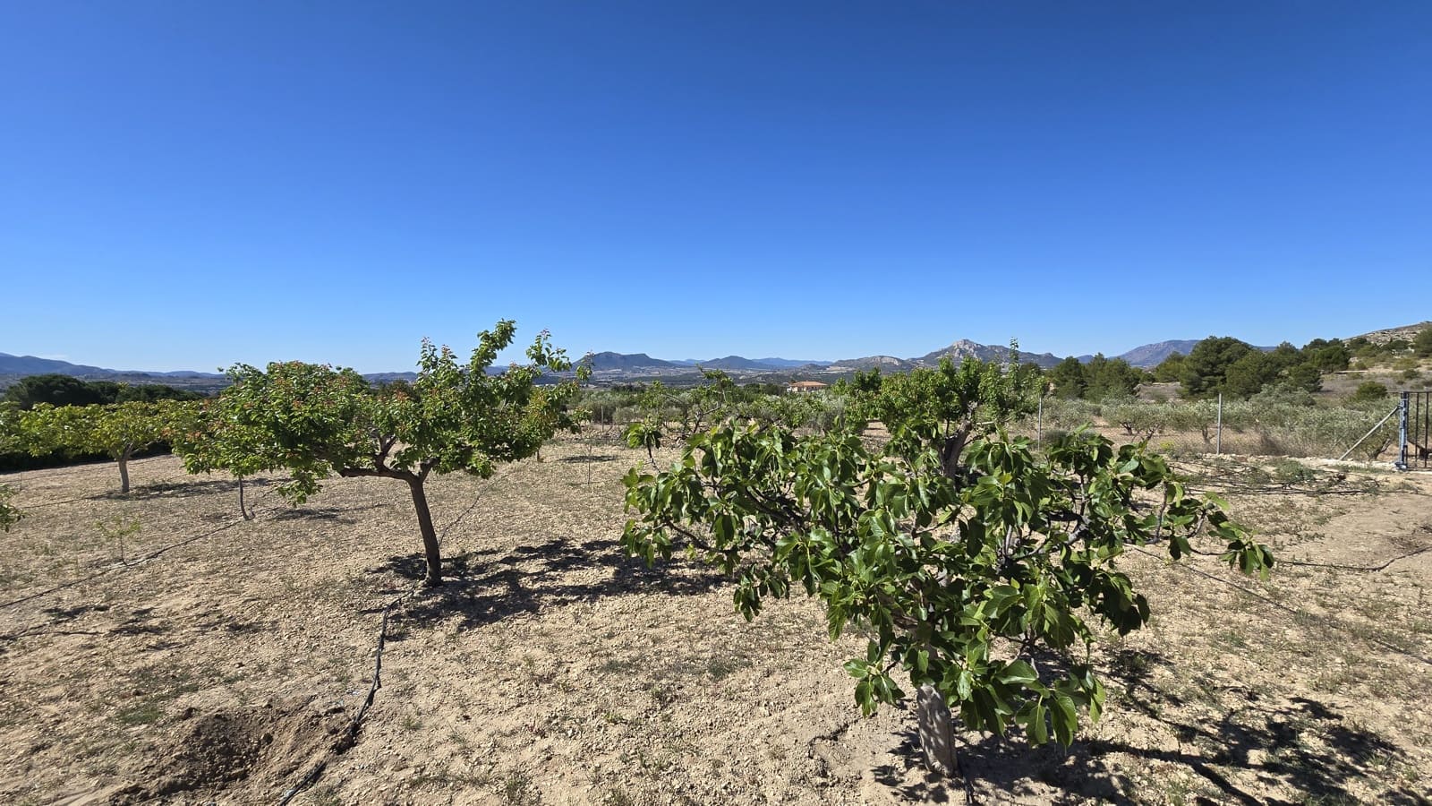 2 soverom Finca/Herregård til salgs i Sax med svømmebasseng garasje - € 99 950 (Ref: 9386529)