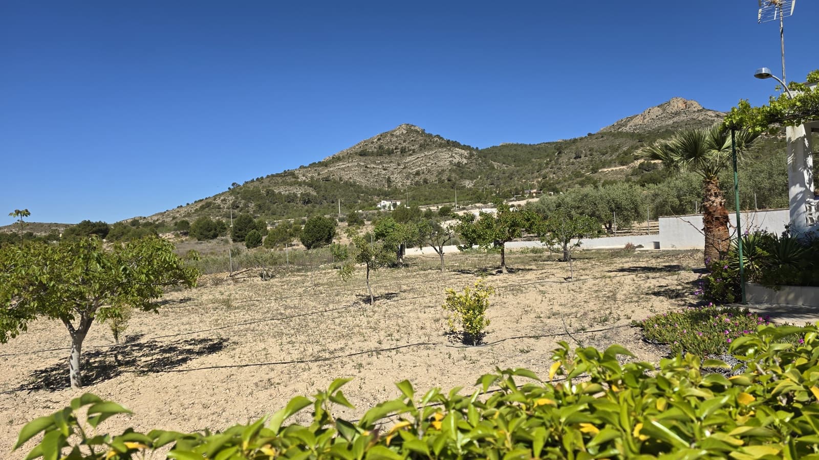 2 soverom Finca/Herregård til salgs i Sax med svømmebasseng garasje - € 99 950 (Ref: 9386529)