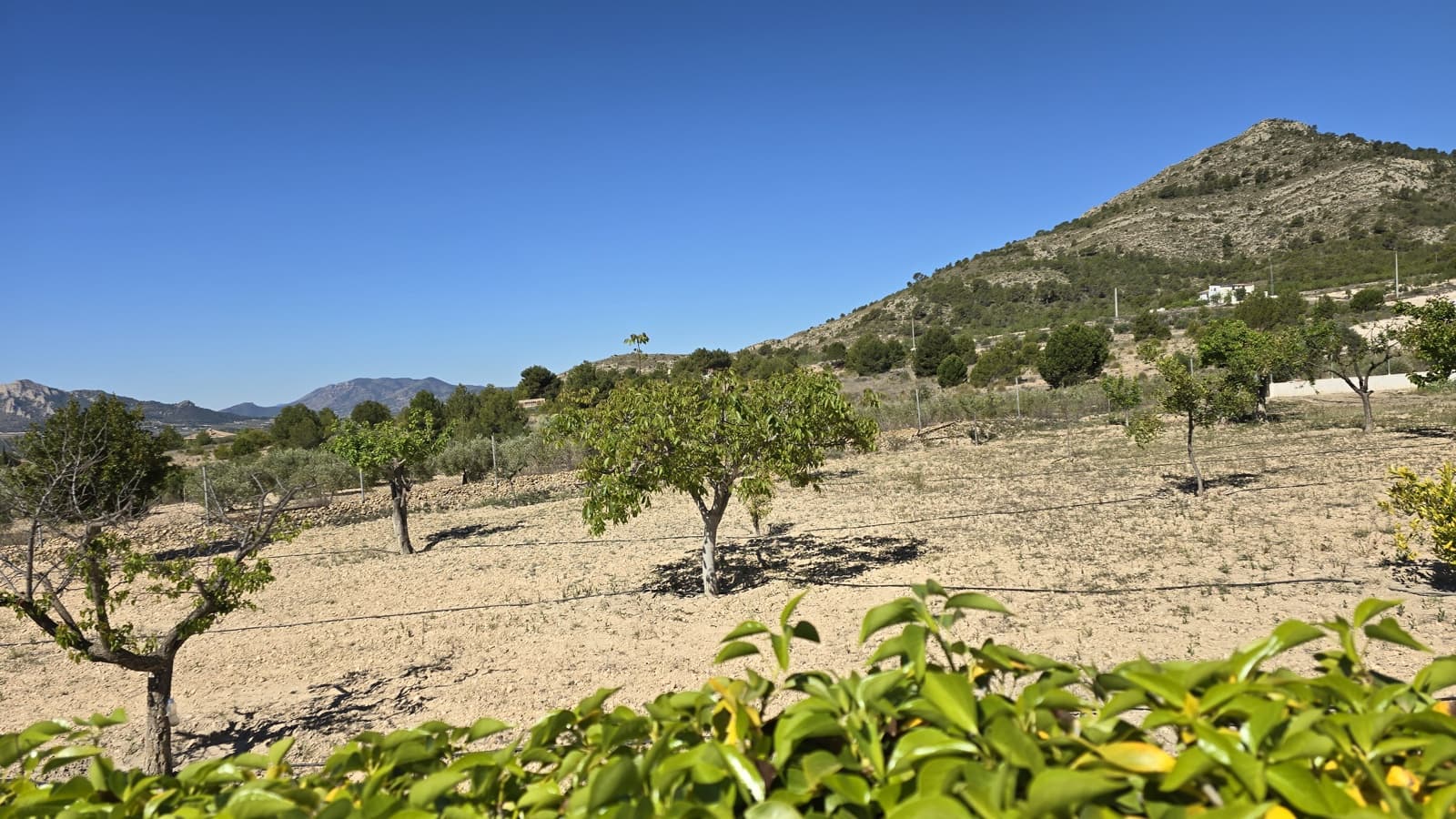 2 soverom Finca/Herregård til salgs i Sax med svømmebasseng garasje - € 99 950 (Ref: 9386529)