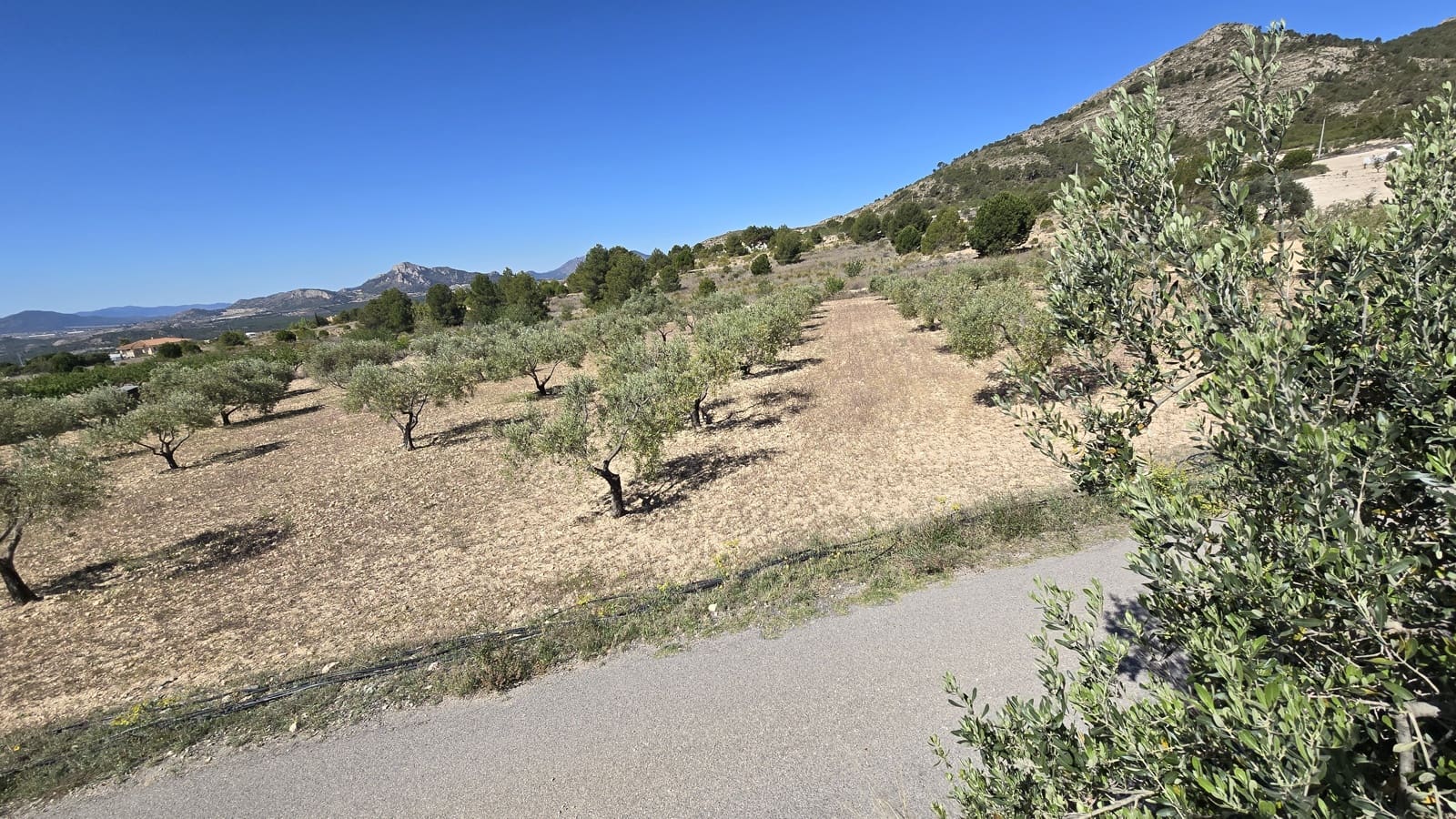 2 soverom Finca/Herregård til salgs i Sax med svømmebasseng garasje - € 99 950 (Ref: 9386529)