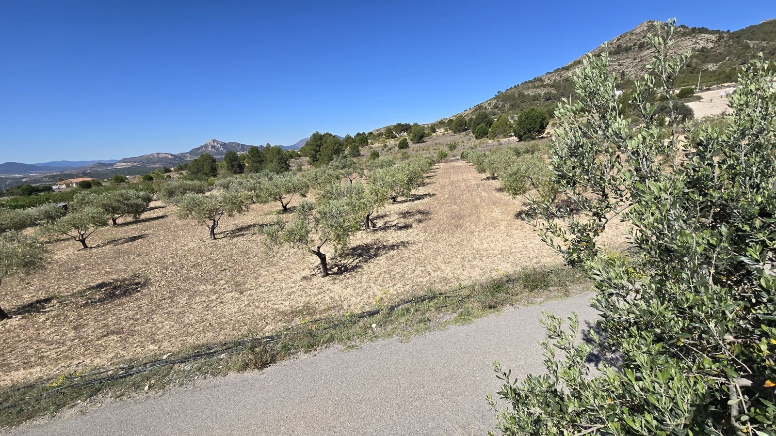 2 soverom Finca/Herregård til salgs i Sax med svømmebasseng garasje - € 99 950 (Ref: 9386529)