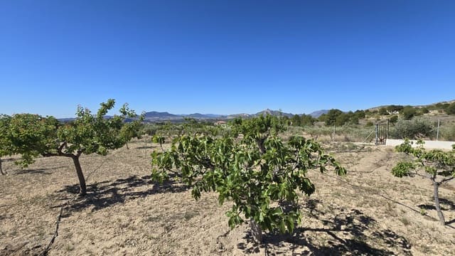 2 chambre Finca/Maison de Campagne à vendre à Sax avec piscine garage - 99 950 € (Ref: 9386529)