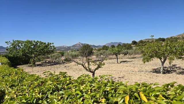 2 chambre Finca/Maison de Campagne à vendre à Sax avec piscine garage - 99 950 € (Ref: 9386529)