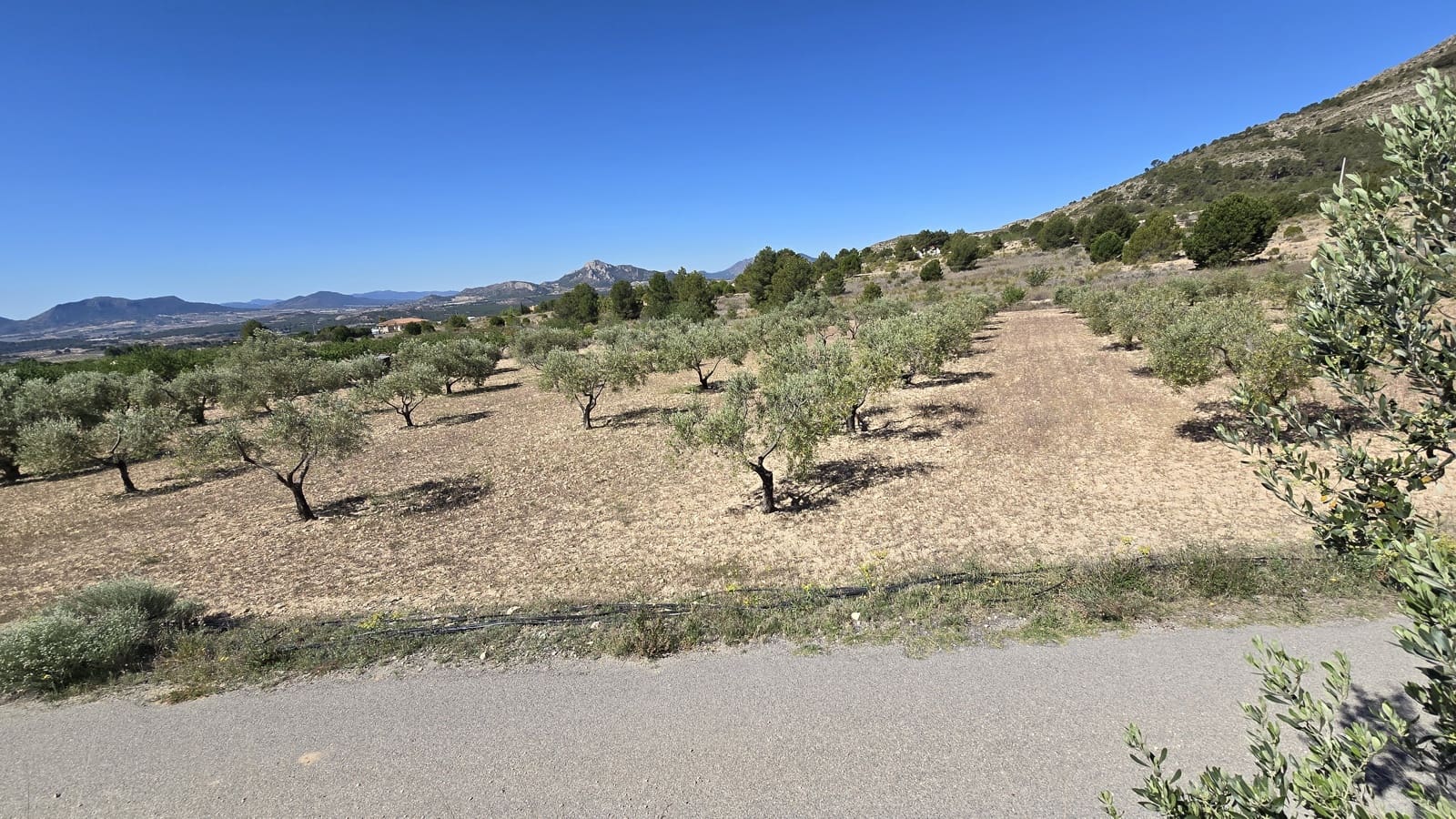 2 soverom Finca/Herregård til salgs i Sax med svømmebasseng garasje - € 99 950 (Ref: 9386529)