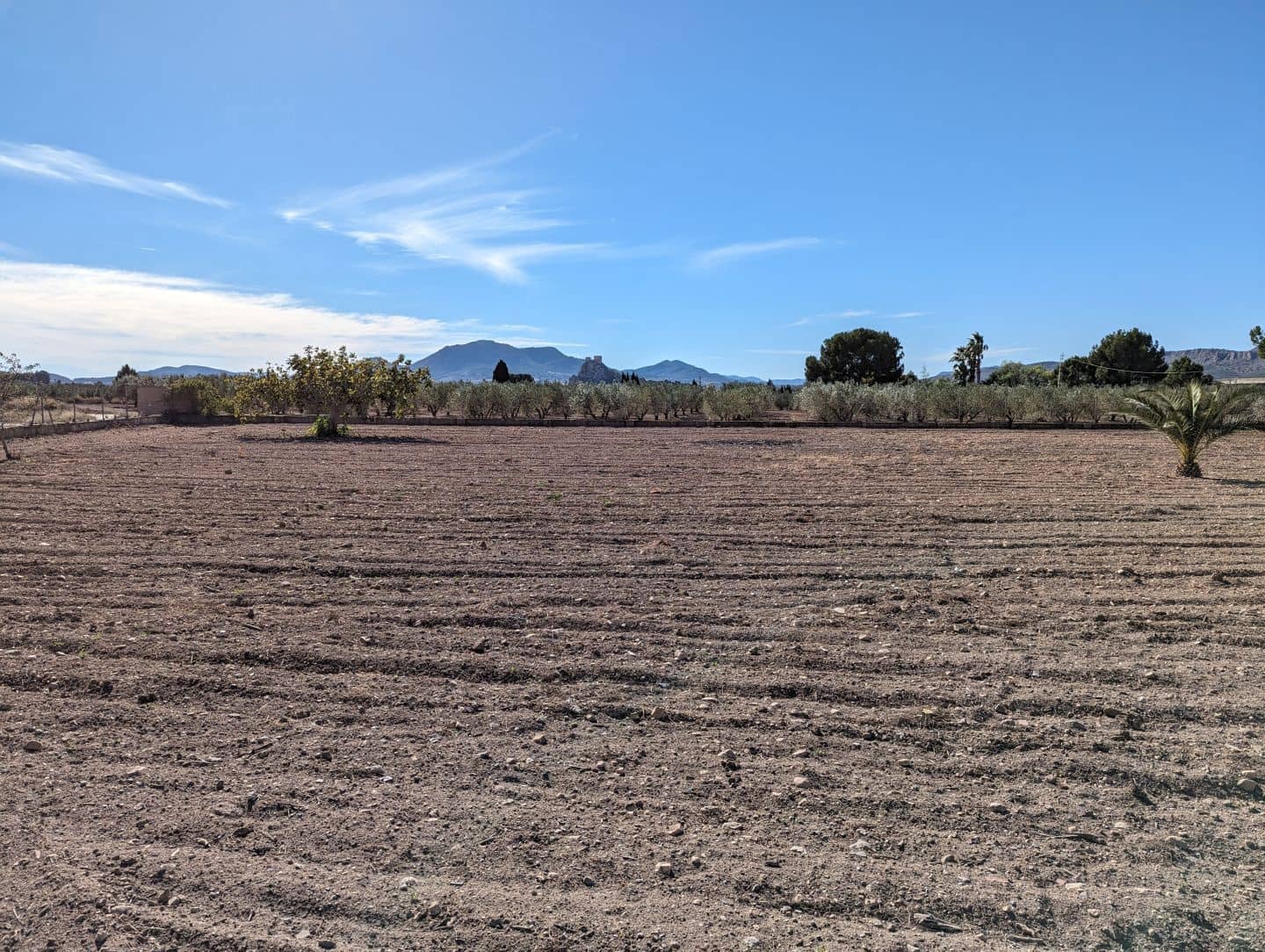 5 chambre Finca/Maison de Campagne à vendre à Sax avec garage - 260 000 € (Ref: 9388652)