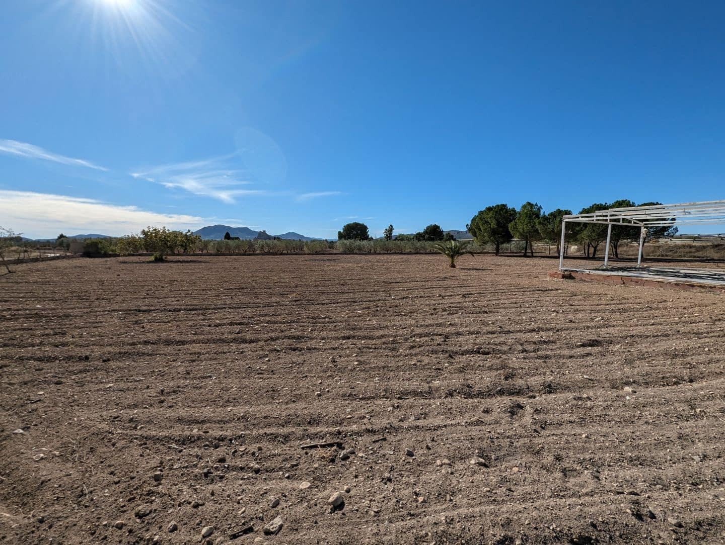 5 chambre Finca/Maison de Campagne à vendre à Sax avec garage - 260 000 € (Ref: 9388652)