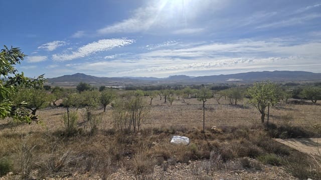 4 makuuhuone Huvila myytävänä paikassa Salinas mukana uima-altaan 
autotalli - 339 000 € (Ref: 9396688)