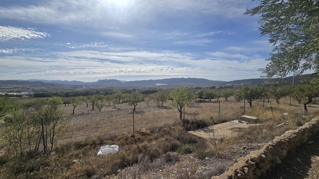 4 makuuhuone Huvila myytävänä paikassa Salinas mukana uima-altaan 
autotalli - 339 000 € (Ref: 9396688)