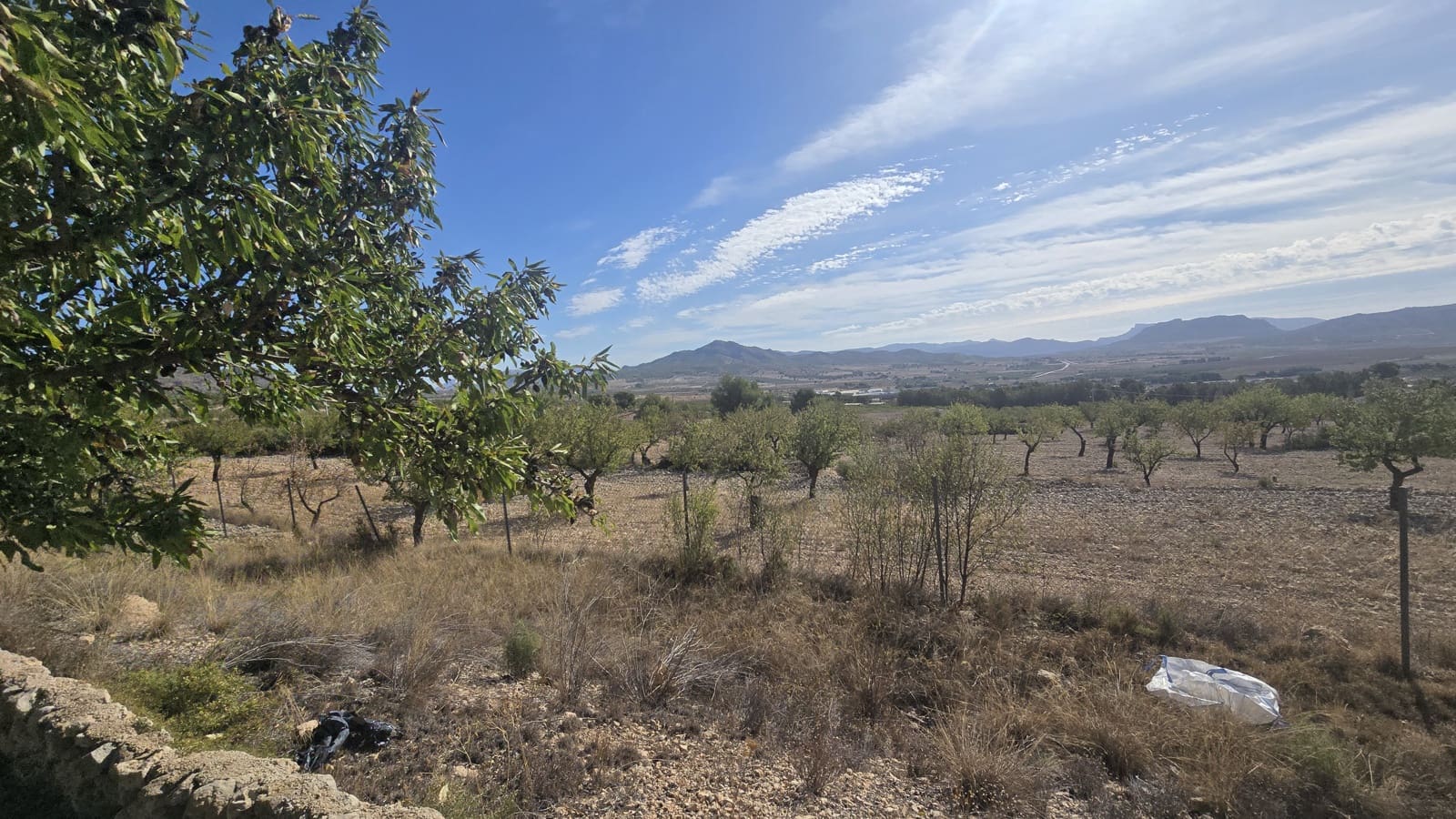 4 chambre Villa/Maison à vendre à Salinas avec piscine garage - 339 000 € (Ref: 9396688)