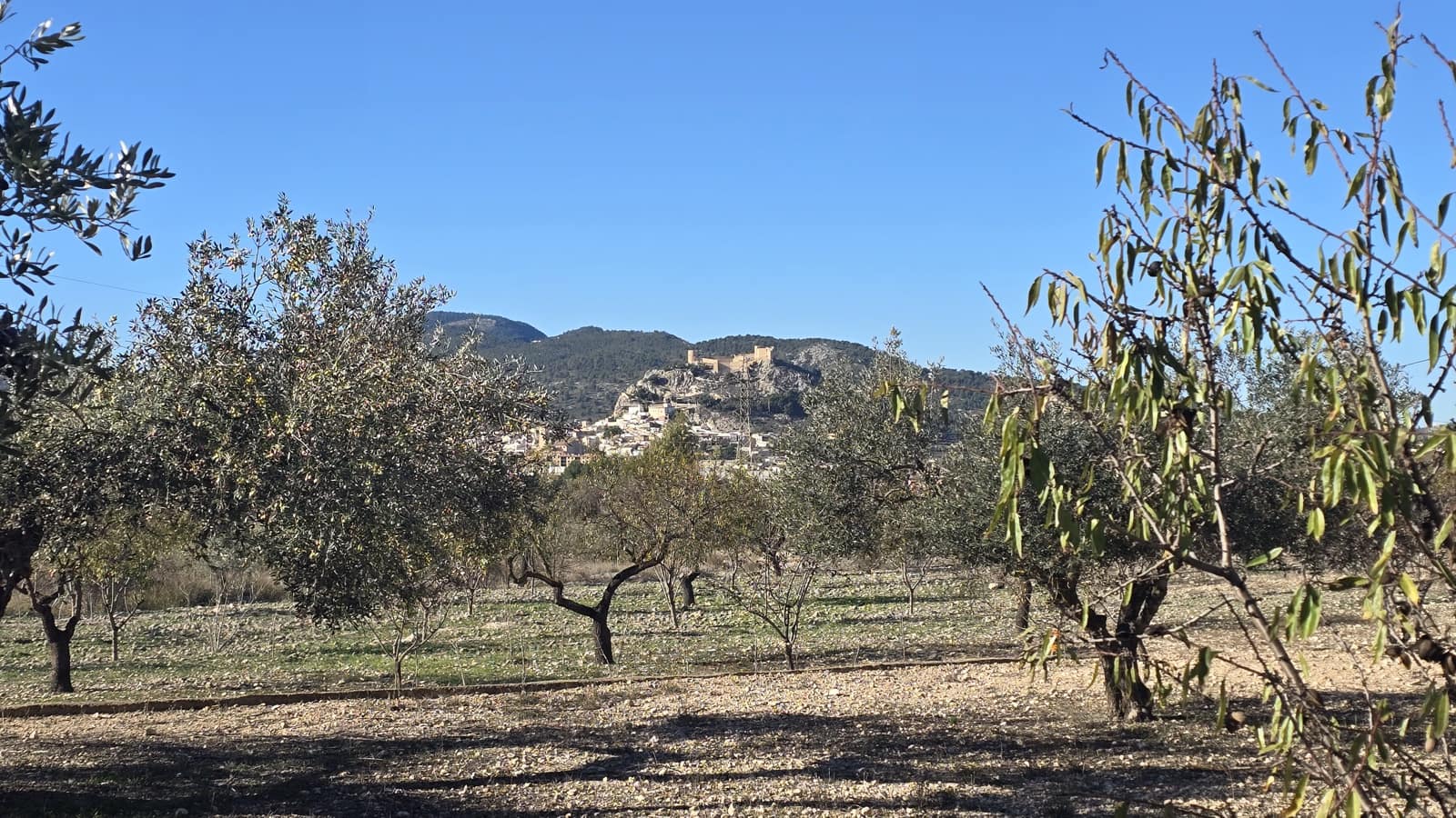 3 soveværelse Finca/Landehus til salg i Castalla med garage - € 234.950 (Ref: 9402503)