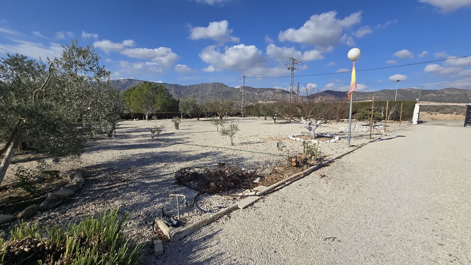 7 sovrum Finca/Hus på landet till salu i Salinas med pool garage - 379 995 € (Ref: 9459447)