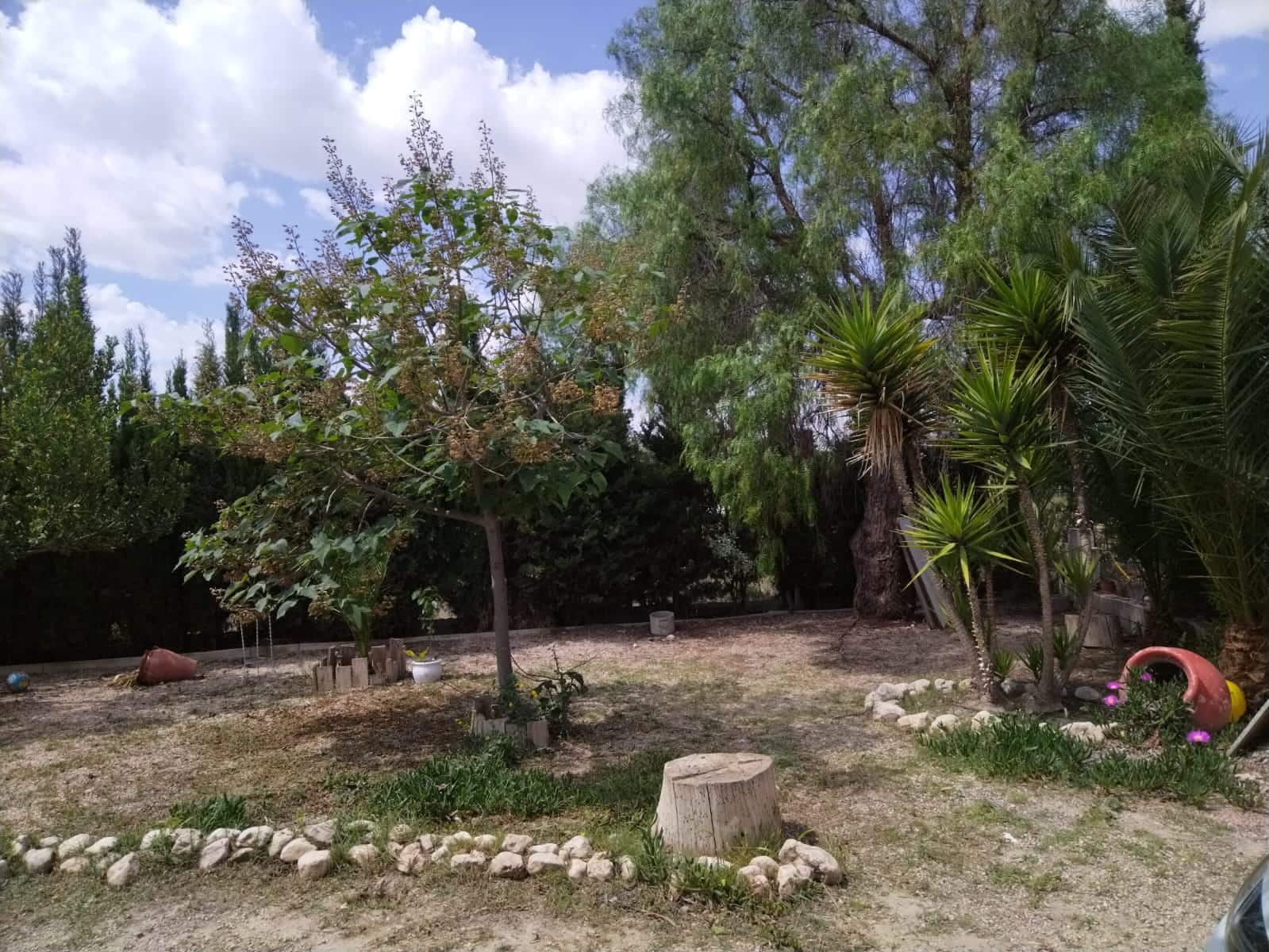 3 bedroom Finca/Country House for sale in Sax with pool garage - € 315,000 (Ref: 9488492)