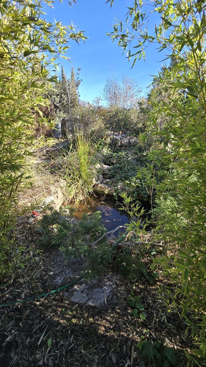 3 sovrum Finca/Hus på landet till salu i Salinas med pool garage - 350 000 € (Ref: 9495525)