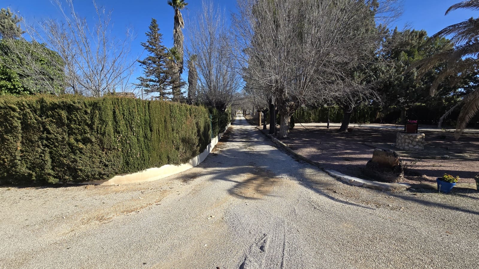 3 sovrum Finca/Hus på landet till salu i Salinas med pool garage - 350 000 € (Ref: 9495525)