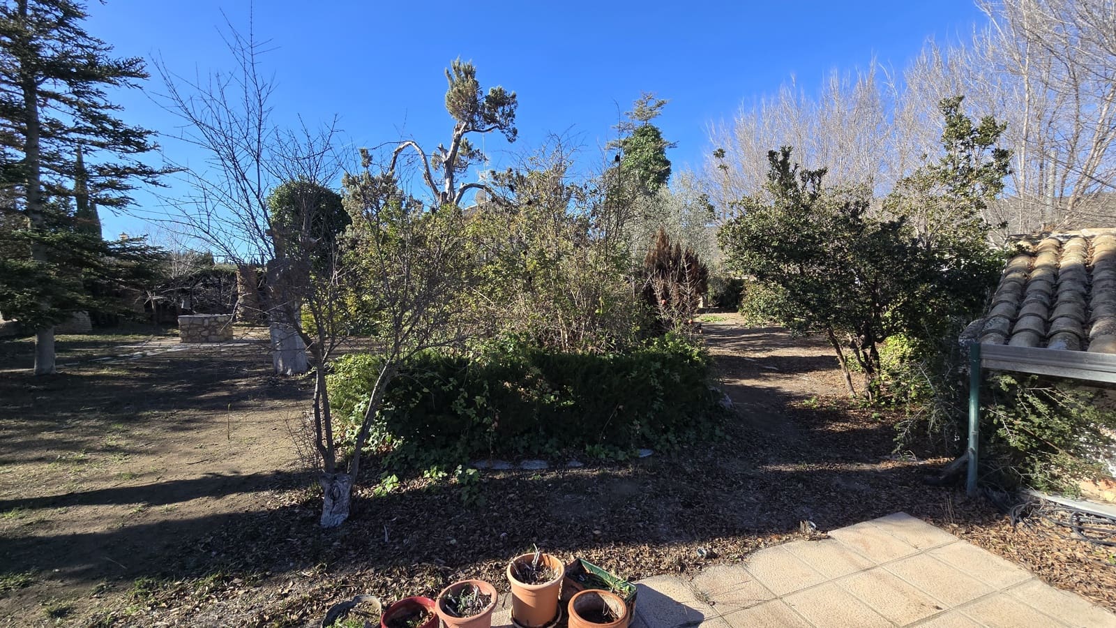 3 sovrum Finca/Hus på landet till salu i Salinas med pool garage - 350 000 € (Ref: 9495525)