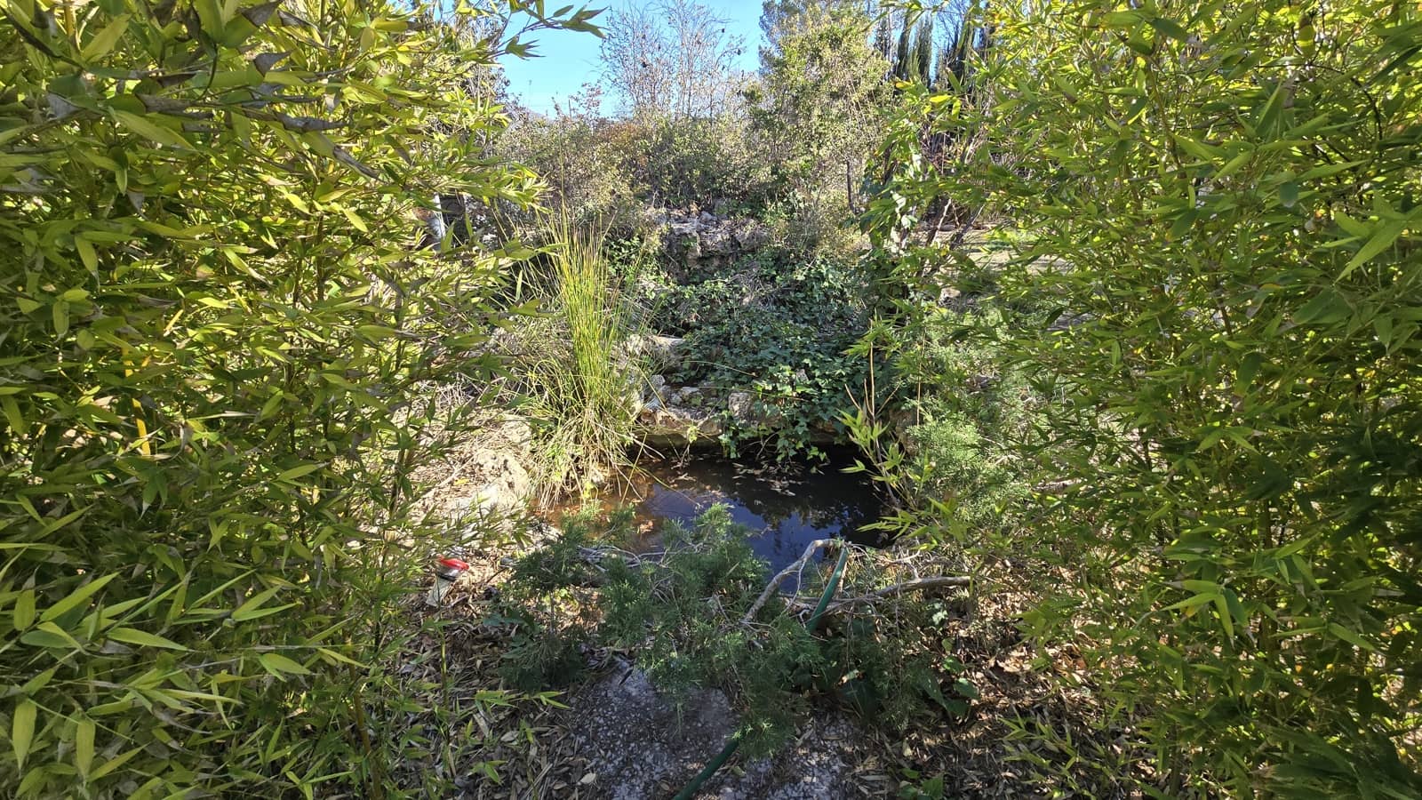 3 sovrum Finca/Hus på landet till salu i Salinas med pool garage - 350 000 € (Ref: 9495525)