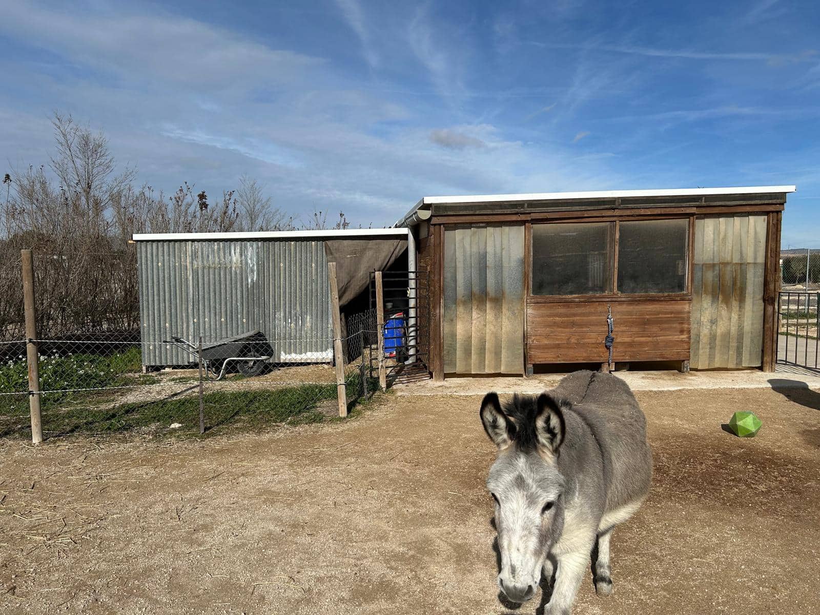 4 bedroom Finca/Country House for sale in Villena with pool garage - € 330,000 (Ref: 9532801)