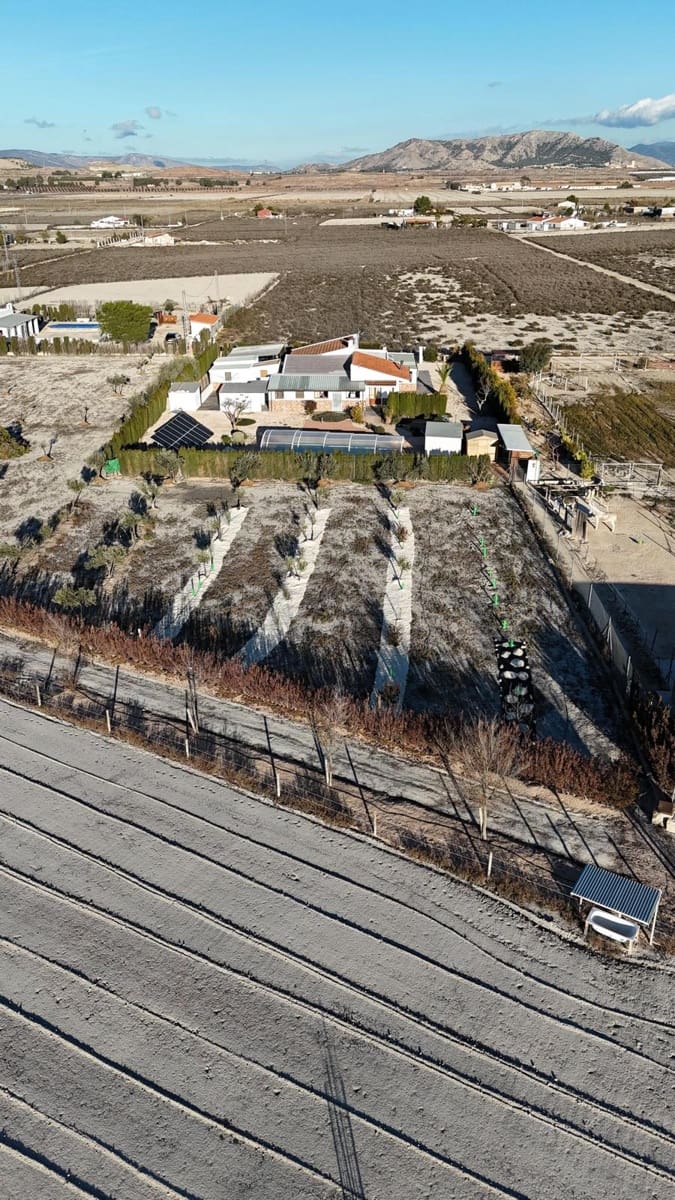 5 soverom Finca/Herregård til salgs i Villena med svømmebasseng garasje - € 299 950 (Ref: 9532801)