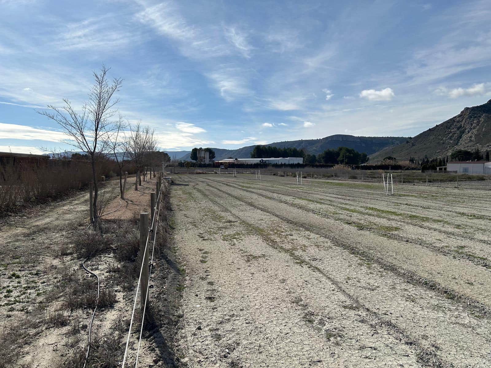5 soverom Finca/Herregård til salgs i Villena med svømmebasseng garasje - € 299 950 (Ref: 9532801)